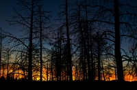 Last-light
