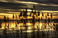 Tramonto-nel-canneto