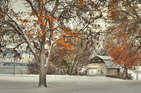 Paddle-and-row-barn