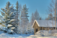 A-winters-day