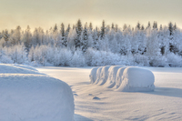 Winterland