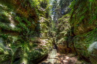 Gorge-near-uttewalde
