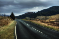 Lonely-road