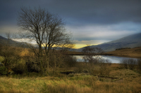 Lake-view