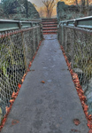 Water-bridge-