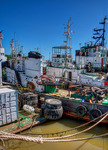 Port