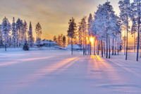 Enchanted-light