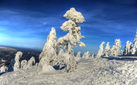 Snow