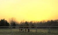 Sunset-with-rua