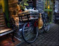 Grocer-s-bicycle