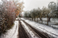 Yesterday-morning-the-snow