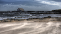 Windy-day-in-east-lothian