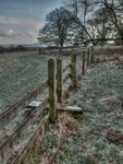 Cold-n-frosty