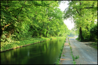 Green-and-water-