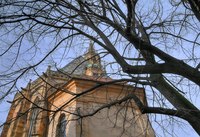 Black-tree-