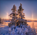 Cold-