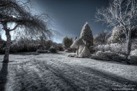 Surreal-gardens