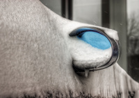 Mirror-snow-covered