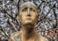 Wooden-face-