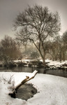 Snow-and-the-river