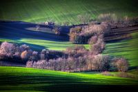 Campagna-d-inverno
