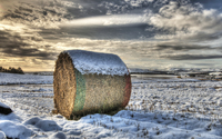Forgotten-