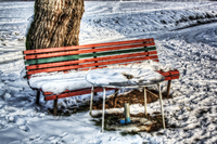 Colori-nella-neve