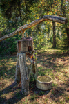 Mule-powered-sugar-cane-press