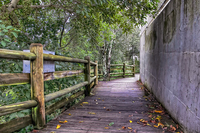 The-walk-way