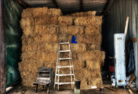 Barn