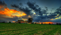 Golden-sunset