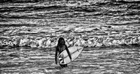 Surfing-calavera