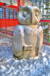 The-library-s-owl