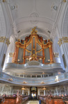 The-organ