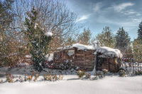 Shack-with-snow