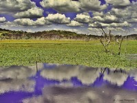 World-of-clouds