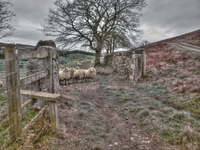 Bbaaaaa