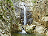 Sa-spendula