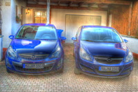 Brother-and-sister