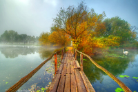 A-beautiful-morning