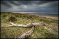 Tornby-strand-wood