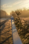Shadows-of-the-sun