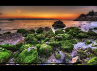 Rocks