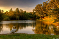 Idyllic-sunset