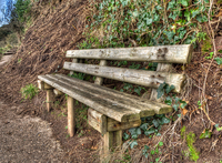Bench-on-the-beaten-path