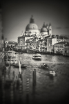 -venezia-xiv-