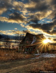 -for-rent-