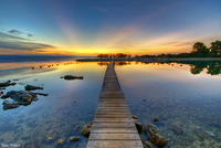 Dawn