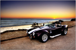 Cobra-in-malibu