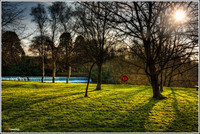 Weir-